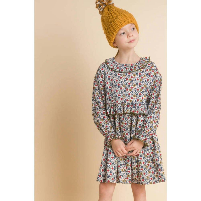 Ruffle Collar Long Sleeve Dress