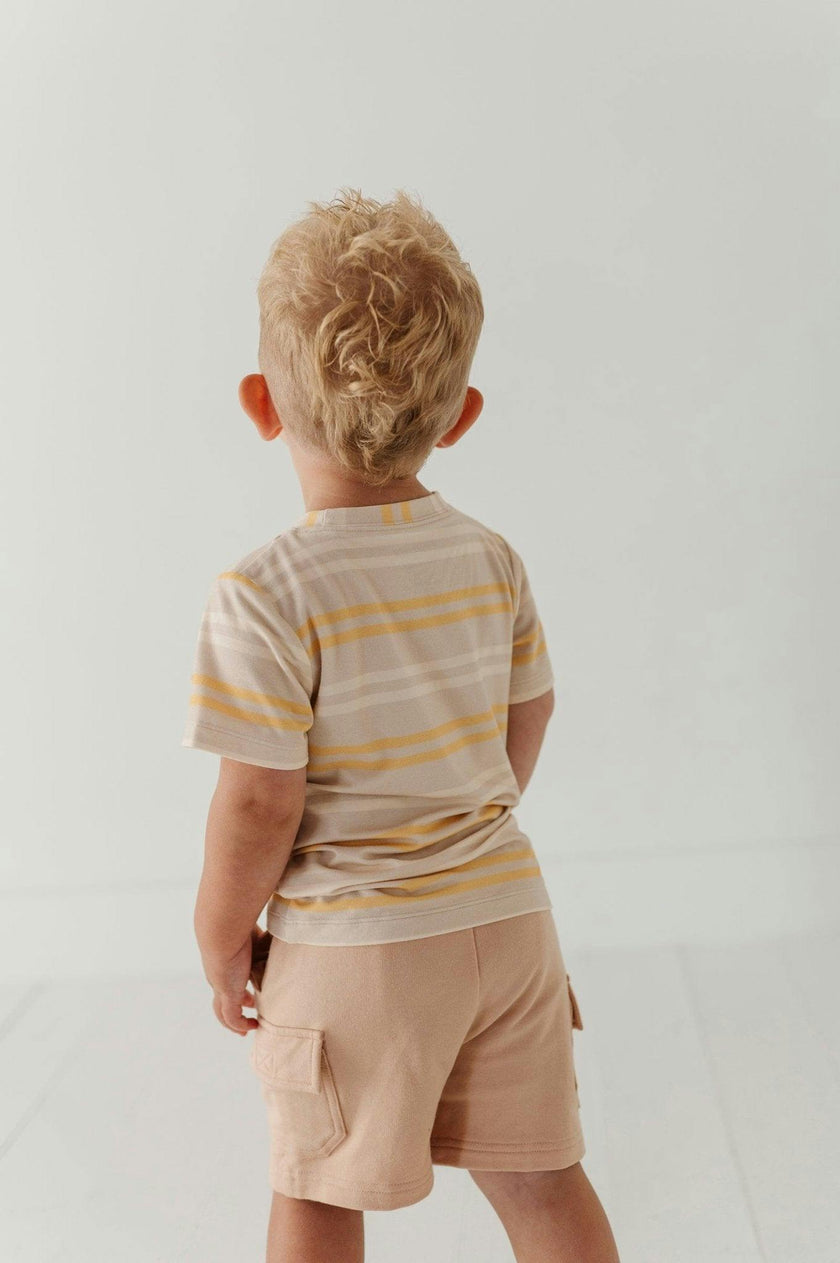 Boy's Short Sleeve Tee in Multi Stripe