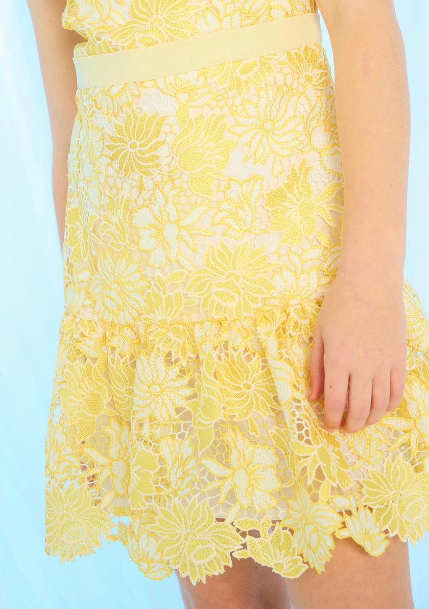 Cassandra Embroidered Mini Dress