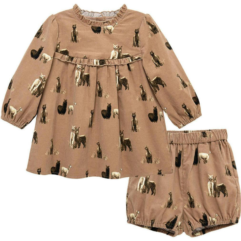 Corduroy Dress & Bloomer