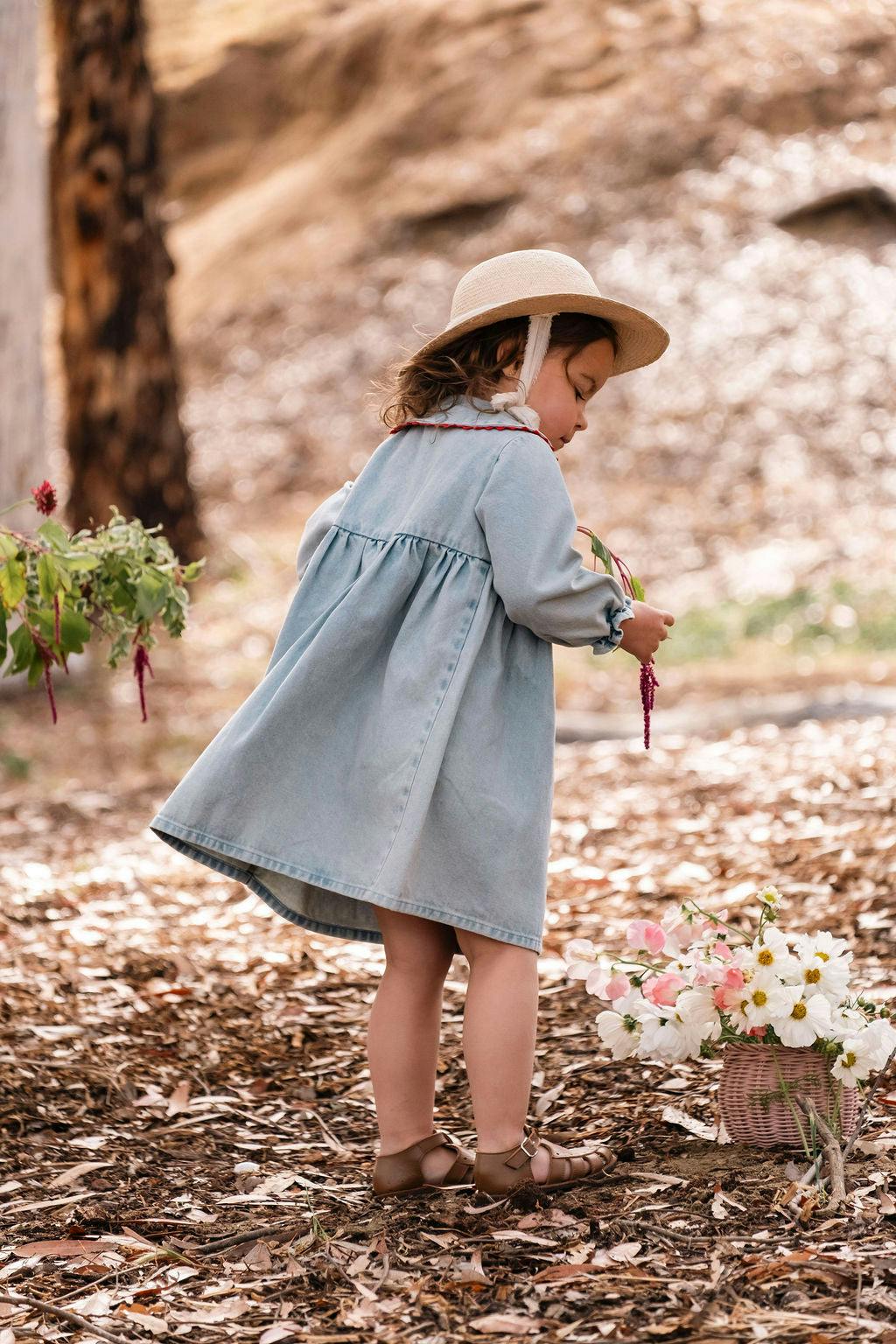 Clementine Dress in Denim Darling