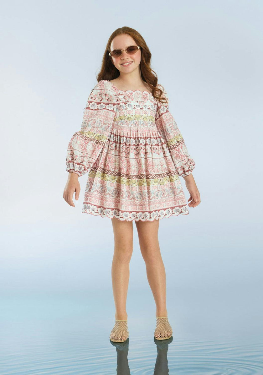 Lara Embroidered Sleeve Mini Dress