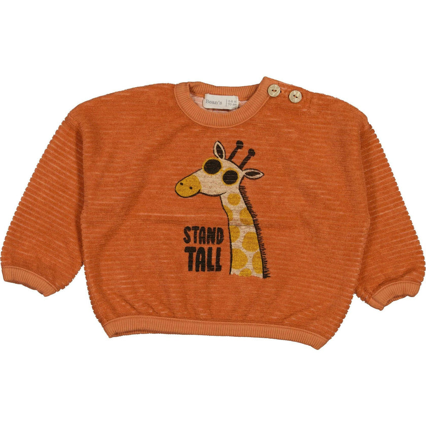 Print Terry Sweatshirt