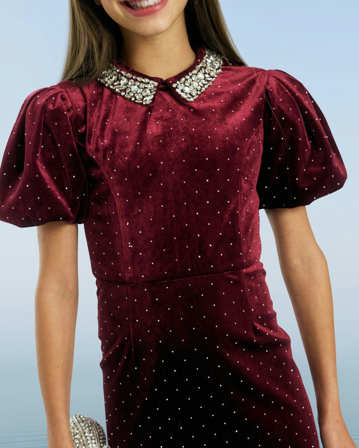 Elisa Velvet Mini Dress