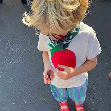 Tomato Tee