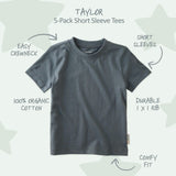 TAYLOR 5-Pack Toddler Short Sleeve T-Shirts