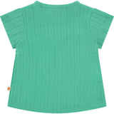 Pointelle Short Sleeve Top