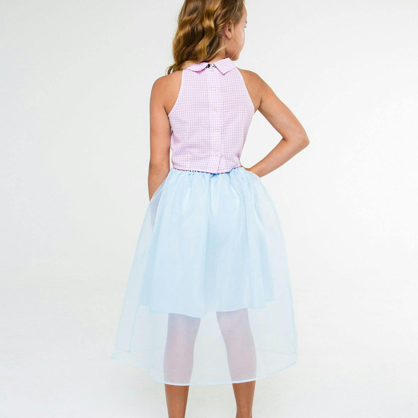 Louise (carnation pink gingham and skirt)