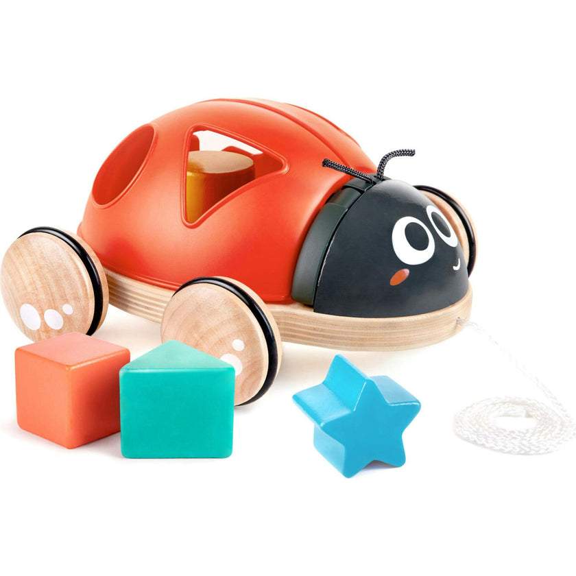 S Sorter Pull-Along Wooden Toddler Toy