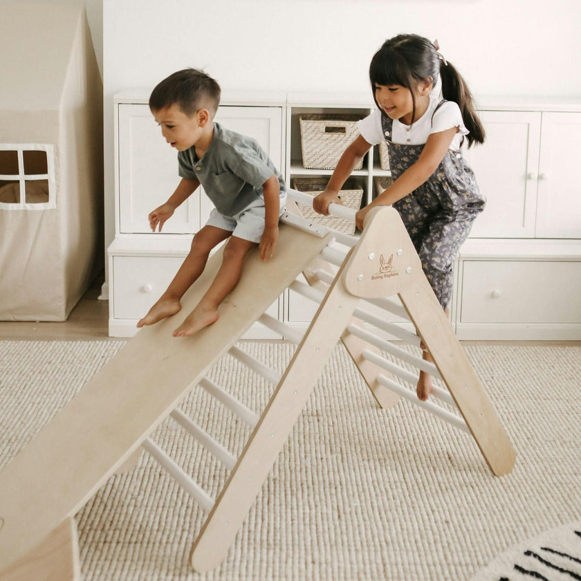 Classic Climber Playset