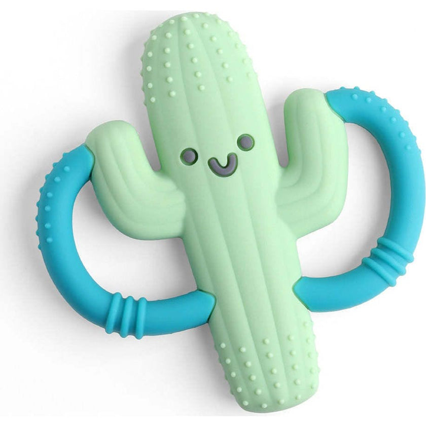 Cactus Teething Kit
