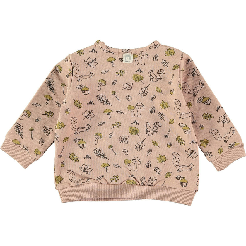Signs of Autumn Pullover