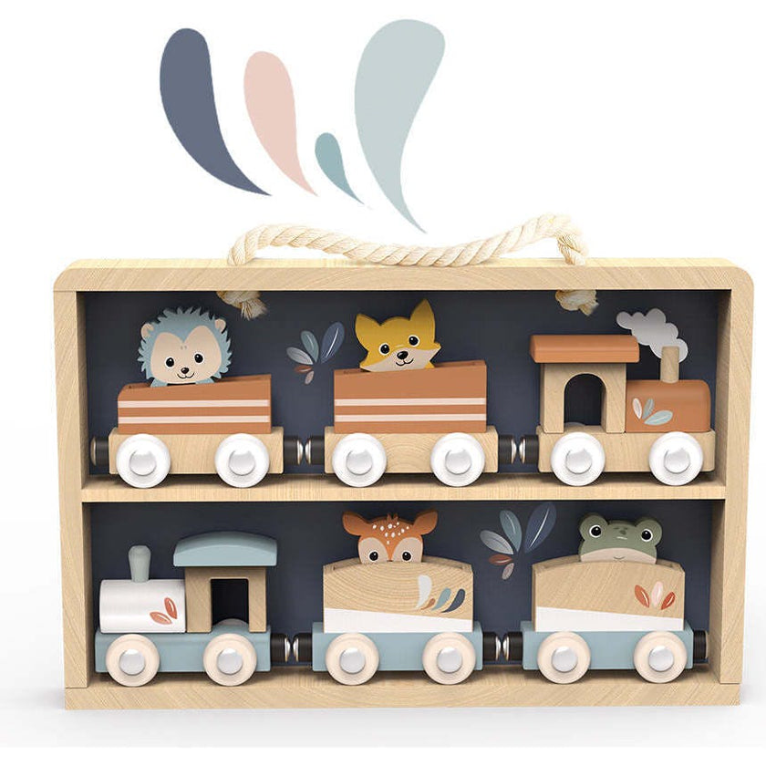 Train Set of 6 with Display Case