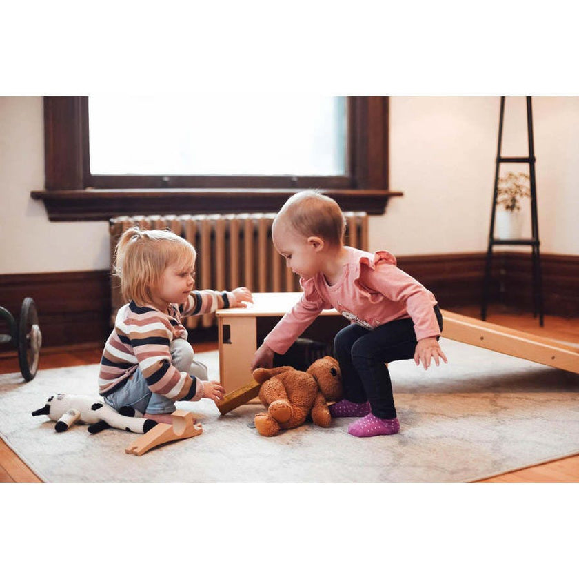 PlayBox Little Climber