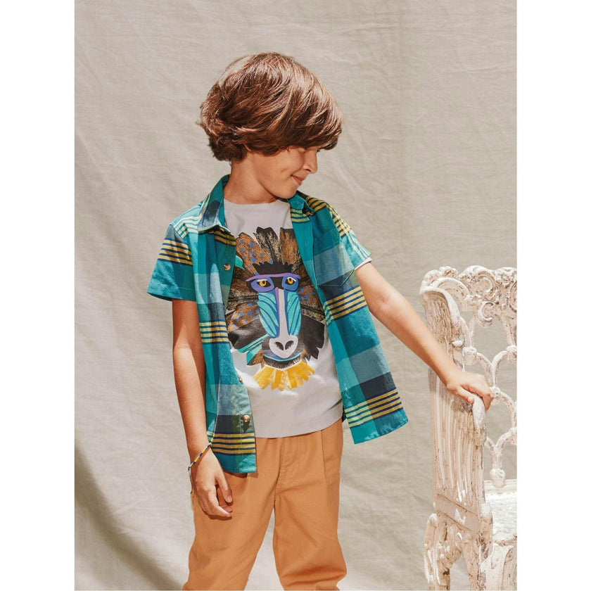 Mandrill Graphic Tee, Blue