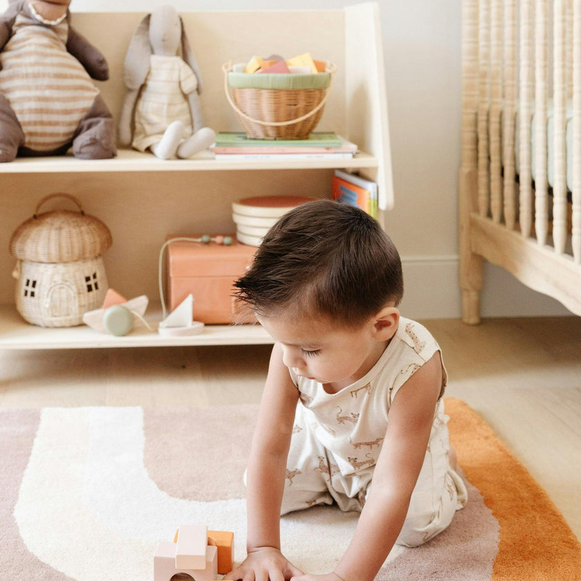 Montessori Toy Shelf