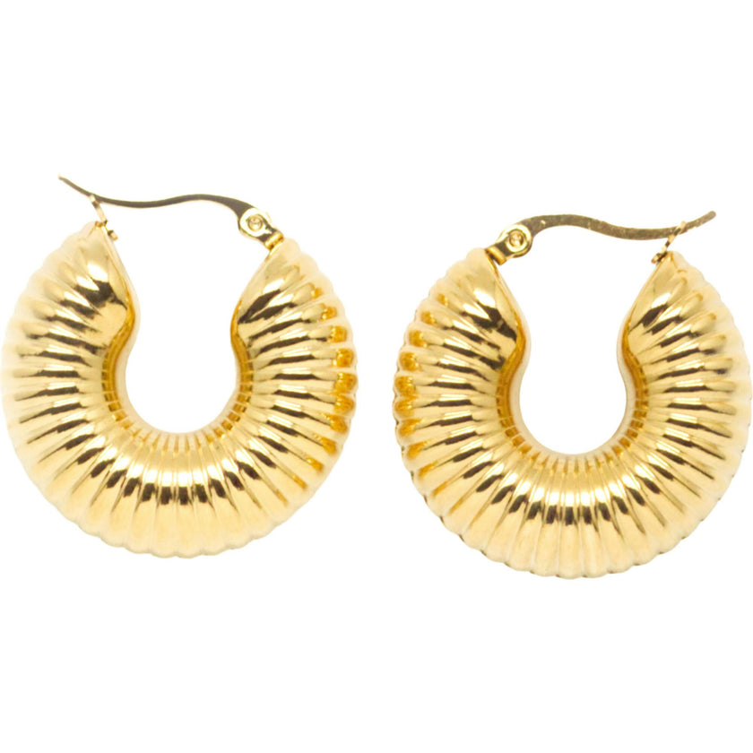 Aries Hoops