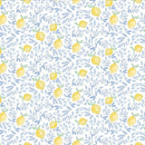 Lemons Pima Cotton Baby Dress w/ Bloomer