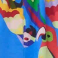 Parrot Swim Trunk