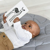 Gift Set Baby Animal s