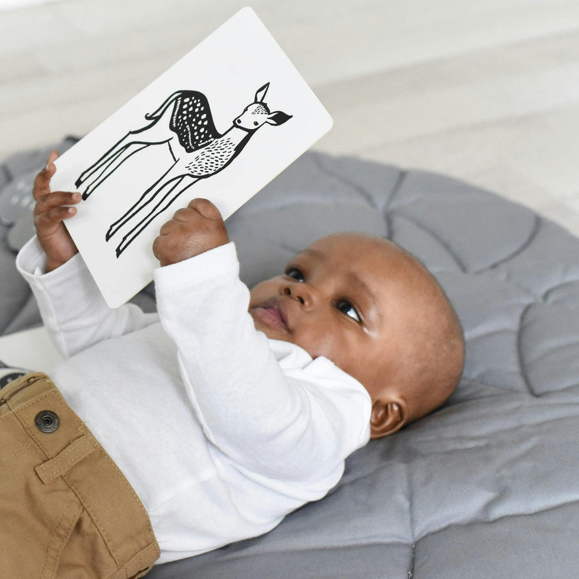 Gift Set Baby Animal s
