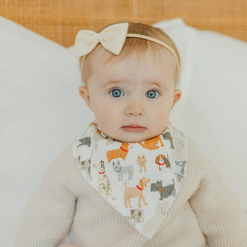 4 Pack Baby Bandana Bibs - Rufus