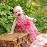 Red Gingham Bow Dress and Bloomers