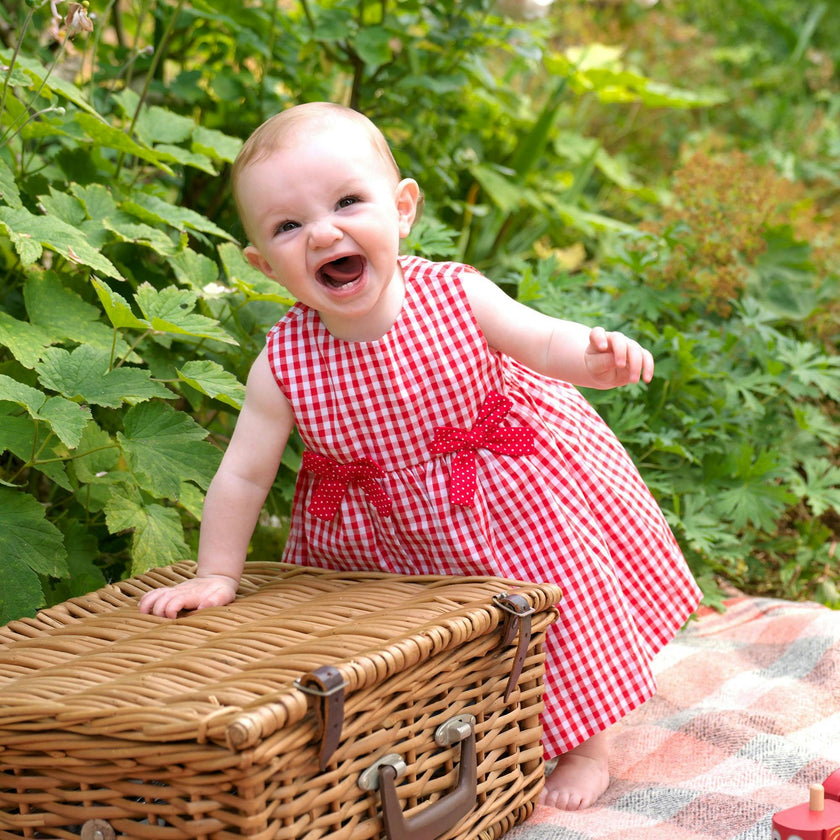 Red Gingham Bow Dress and Bloomers