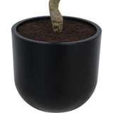 7' Faux Potted Laurel Tree
