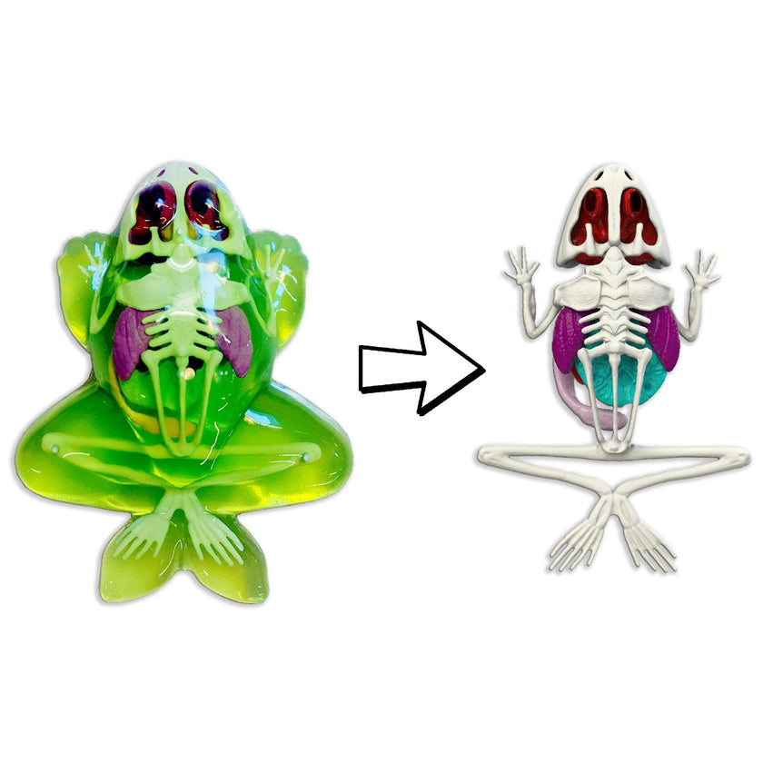 Dissect-It: Frog Lab