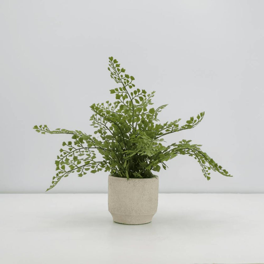 16" Faux Snake Plant & Fern Set