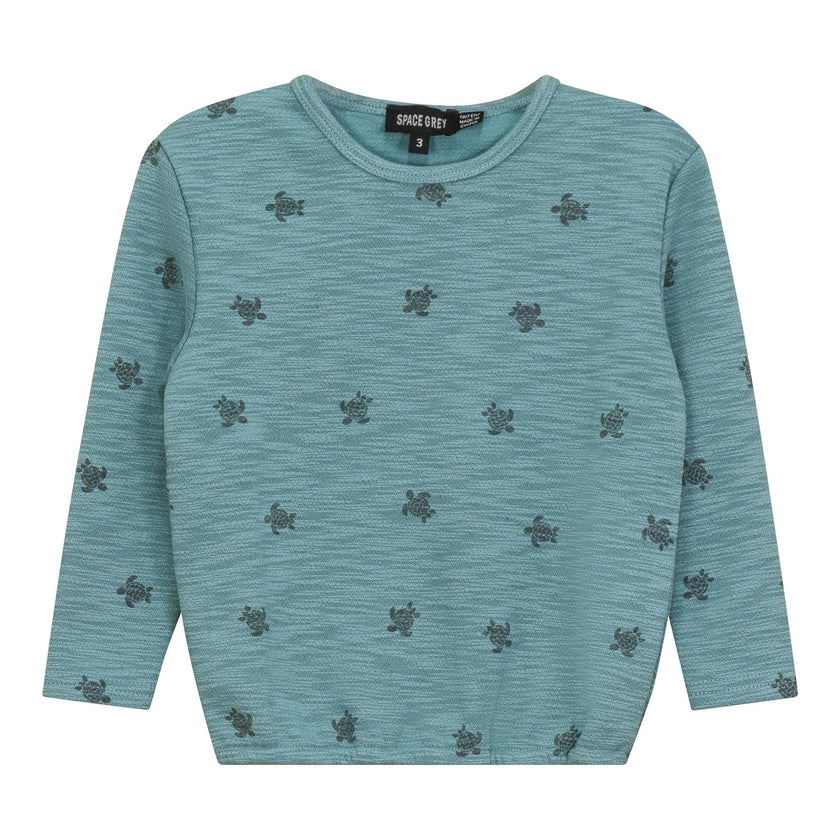 Printed Sweatshirt Seafoam