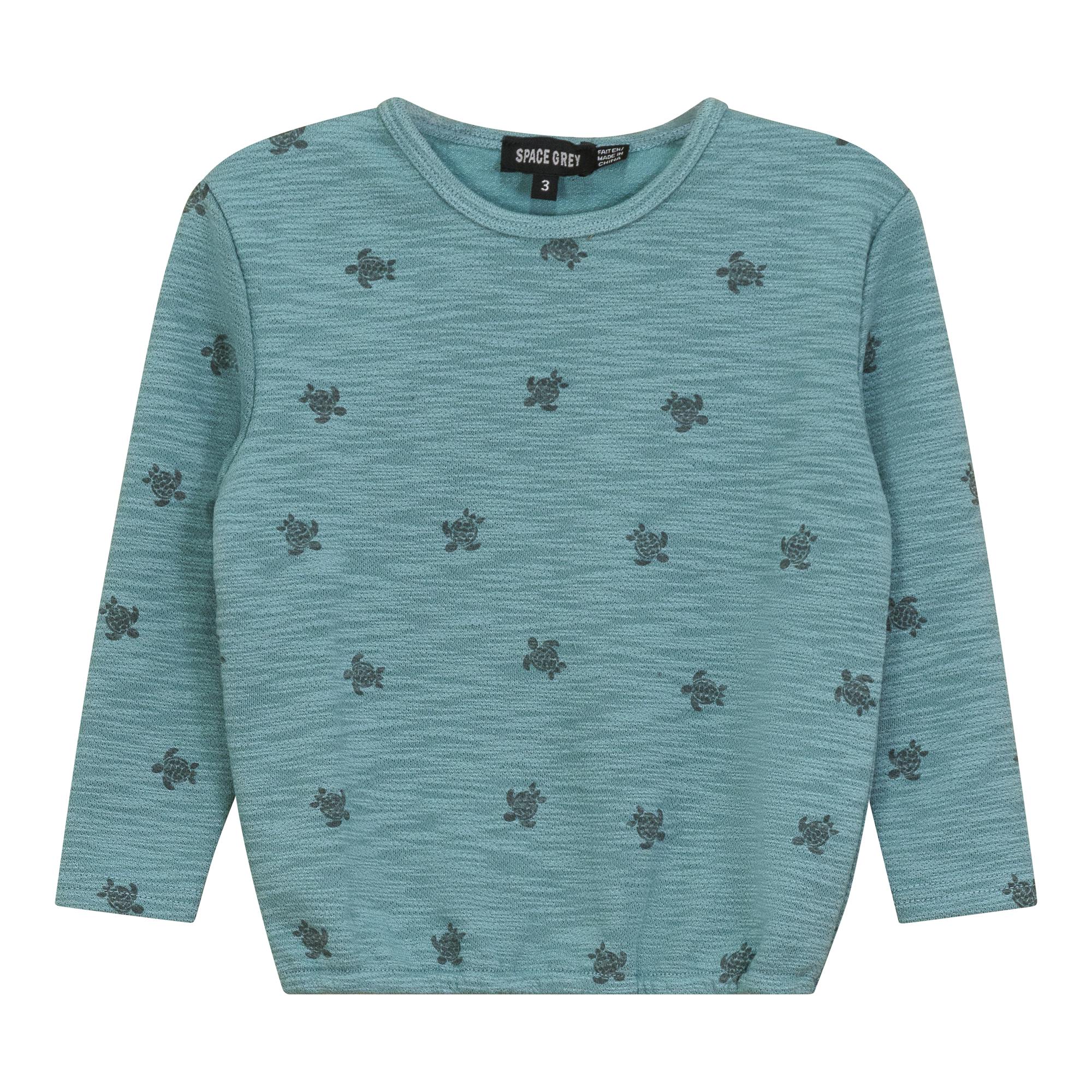 Printed Sweatshirt Seafoam