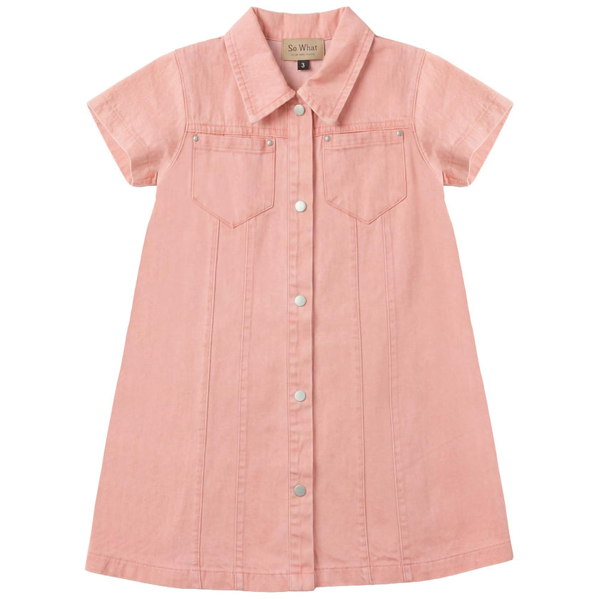 Colored Denim Dress