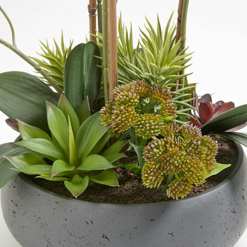 Artificial Orchid with Succulents