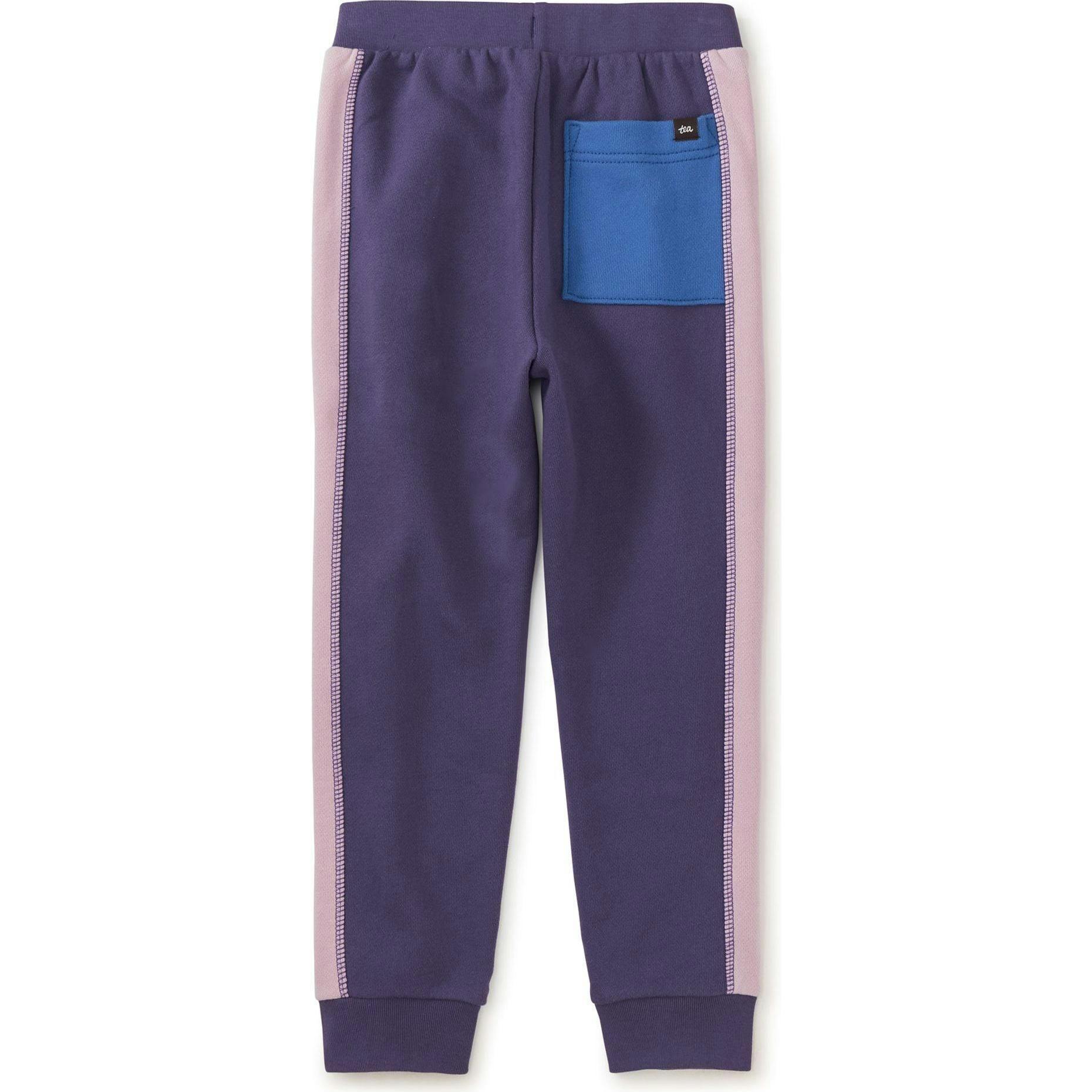 Colorblock Stripe-Out Elastic Waist Drawstring Pocket Joggers, Purple