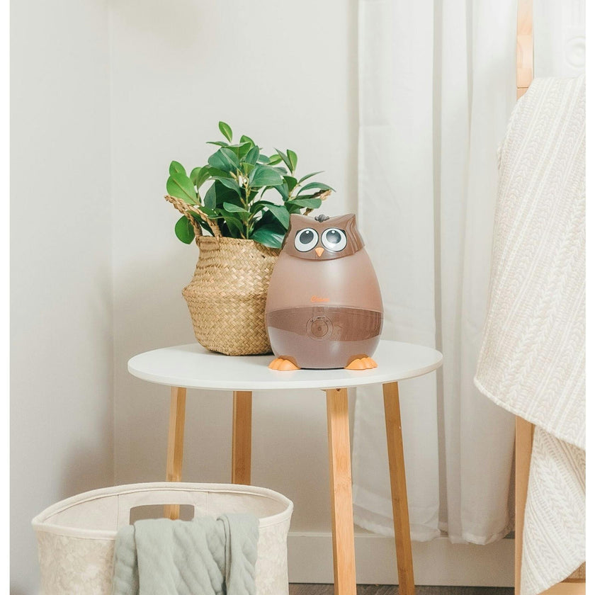 Adorable Humidifier