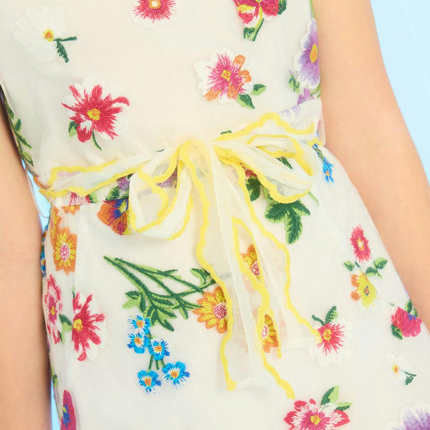 Carly Embroidered Mini Dress
