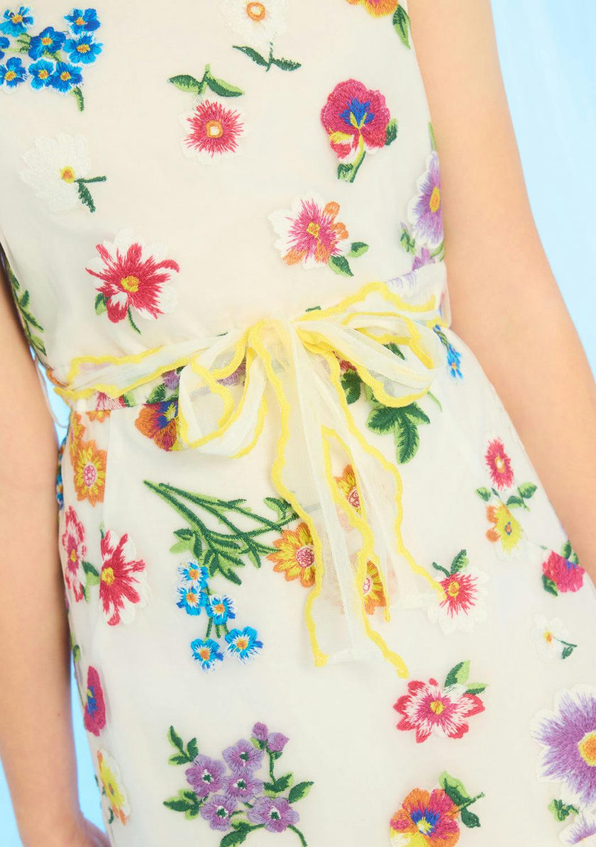 Carly Embroidered Mini Dress