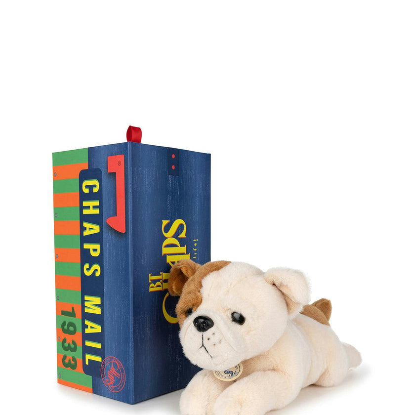 BT CHAPS GUS THE HOMIE in Giftbox 10"