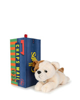 BT CHAPS GUS THE HOMIE in Giftbox 10"