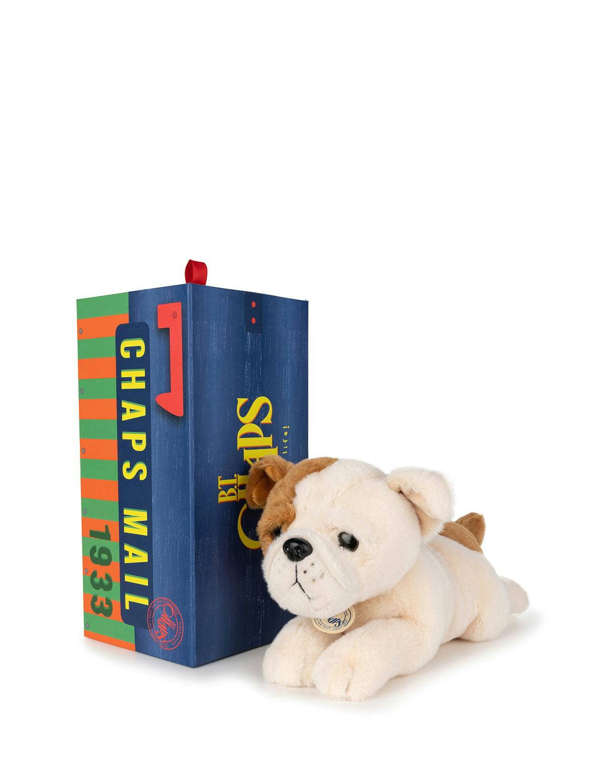 BT CHAPS GUS THE HOMIE in Giftbox 10