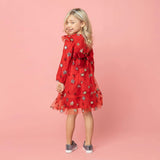 Seren Embroidered Sequin Star Party Dress