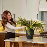 Real Touch Lebanon Cedar Faux Winter Greenery Stem Bundle of 3