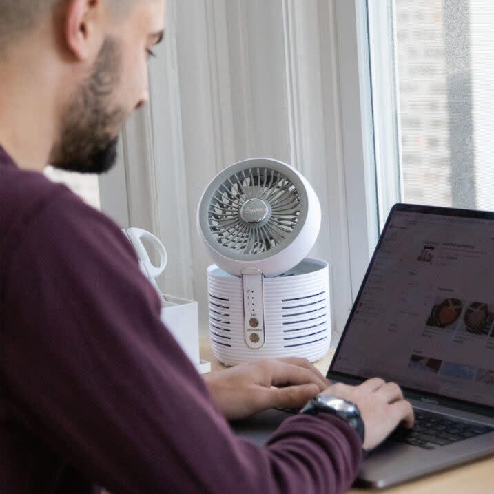 2-in-1 Air Purifier and Desk Fan