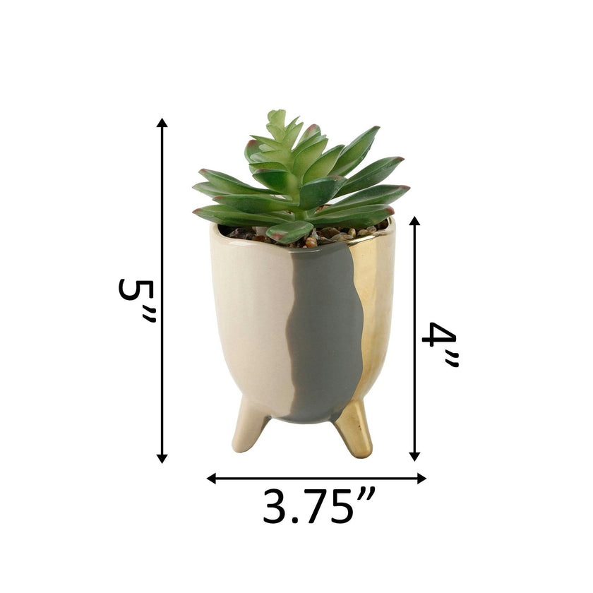 3.75" 3-TONE FOOTED CERAMIC Artificial Succulent  (SM)