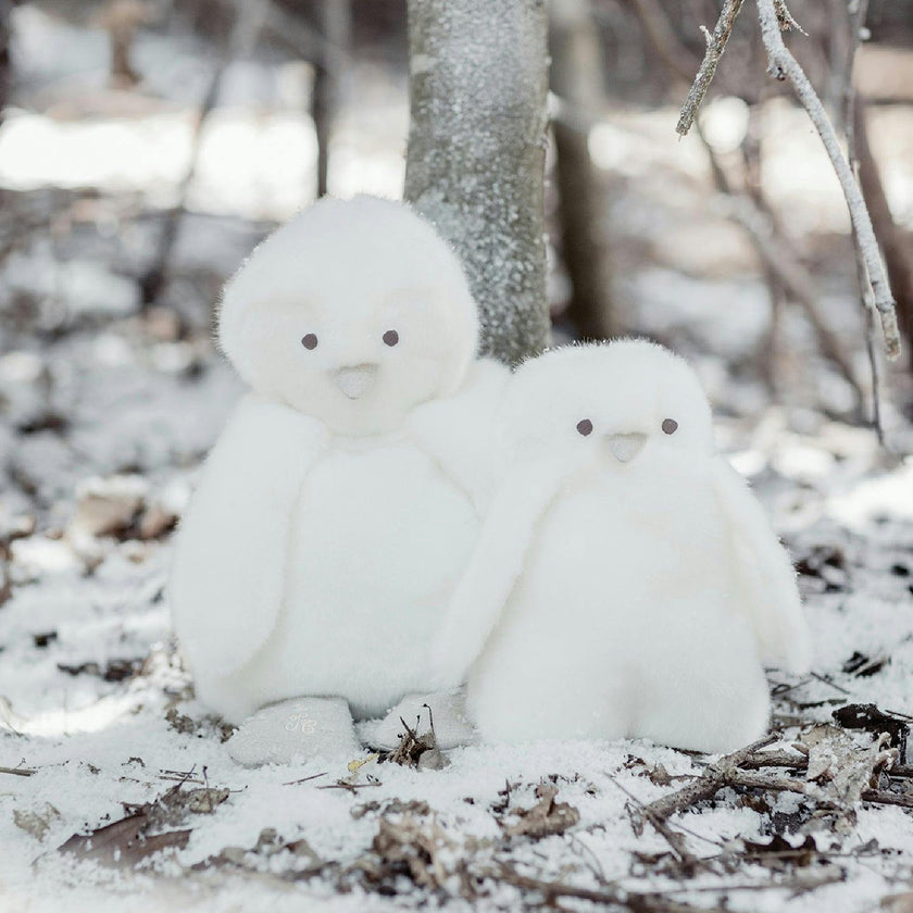 GABIN THE PENGUIN PAMPLEMOUSSE X TARTINE ET CHOCOLAT