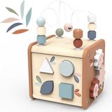 5 in 1 Activity cube