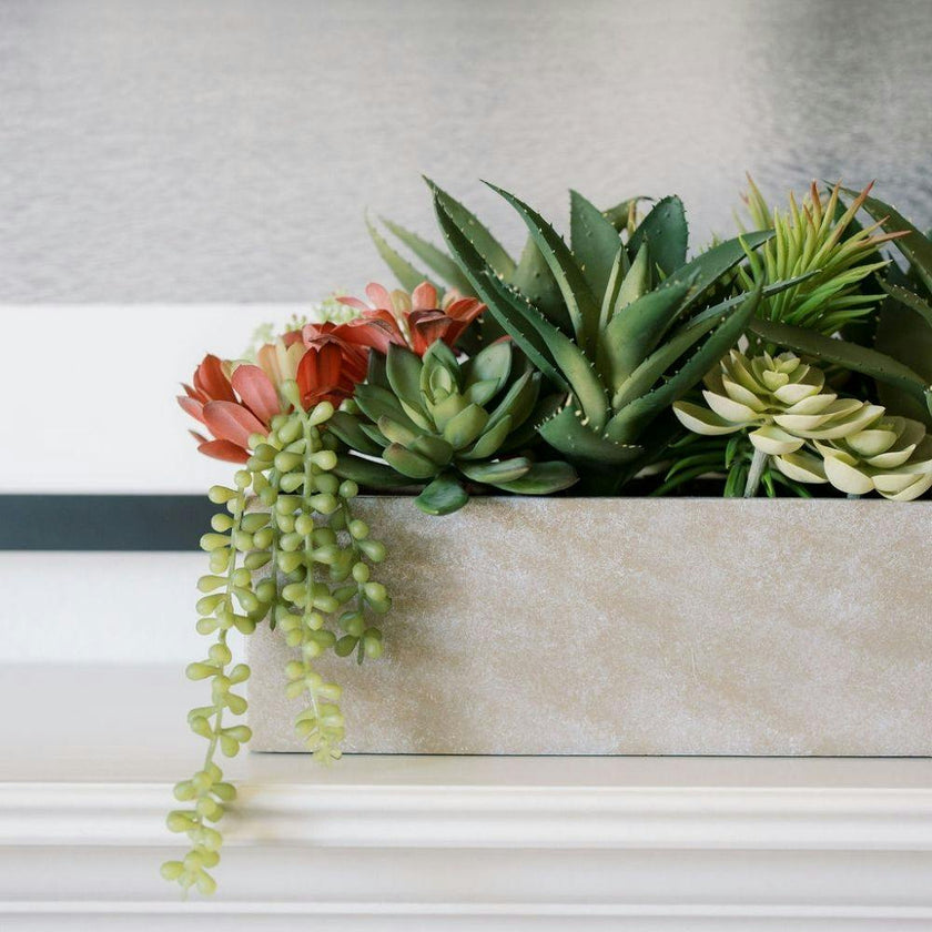 artificial succulent plant arrangements Rectangular Artificial Succulent Arrangement, Natural Planter – Maisonette