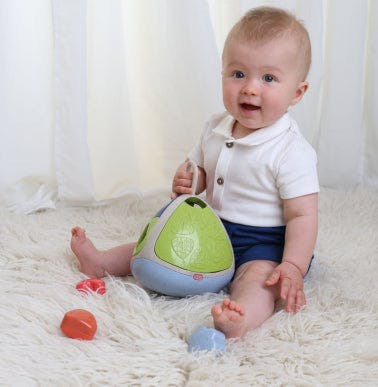 The Bio Shape Sorter